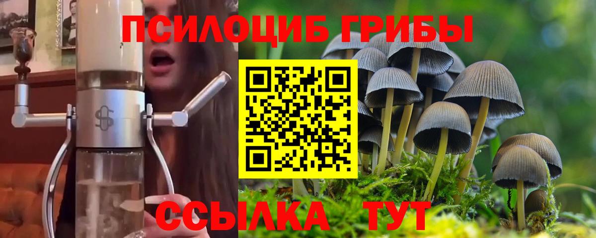 Камышин  Псилоцибиновые грибы мухоморы  Вход с VPN 